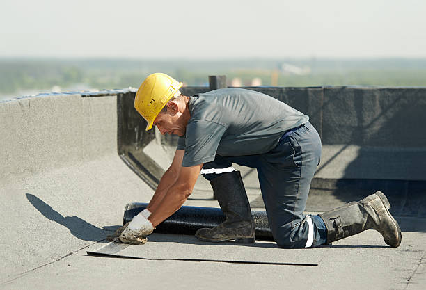 Types of Insulation We Offer in Rainbow, CA
